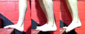 ankle_strength_3